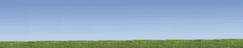 pub_web4_CMS36.gif